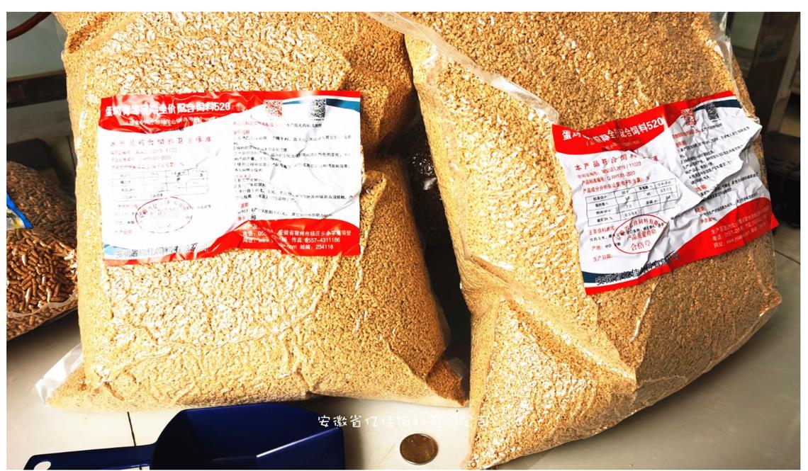 真空包裝育雛期釣魚